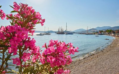 Bodrum’un En İyi Yaşam Bölgeleri